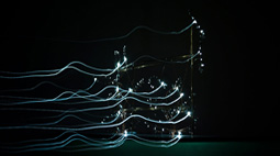 Project 10 thumbnail